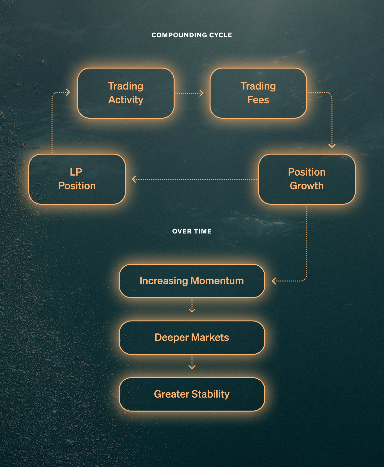 Diagram showing the compounding cycle of liquidity, trading activity, fees, and position growth leading to deeper markets and greater stability.